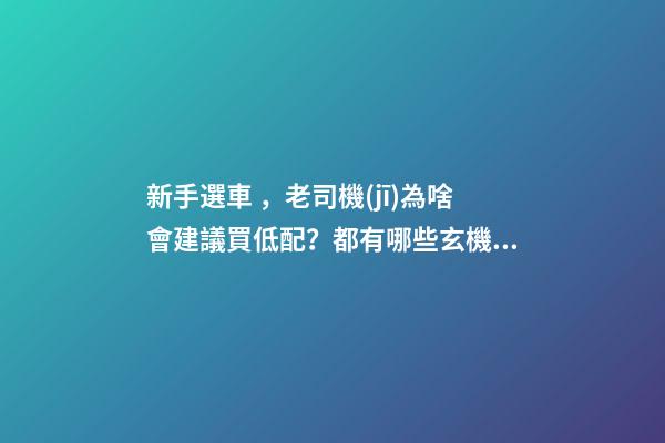 新手選車，老司機(jī)為啥會建議買低配？都有哪些玄機(jī)？